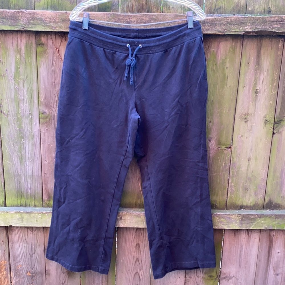 Style & Co sweat pants petite large